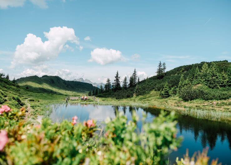 Almsommer in Großarl © SalzburgerLand Tourismus, Chris Perkles