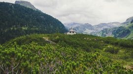 Hiking through the Wiegenwald Forest